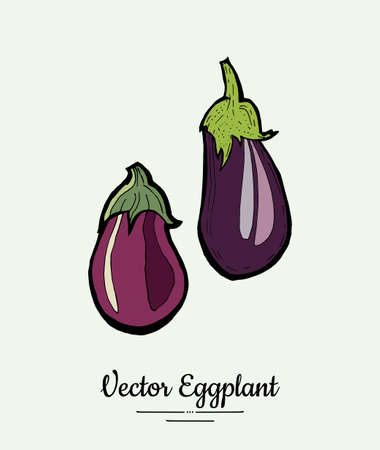 Eggplant vegetable groceries vintage vector set. Hand drawn isolated fresh aubergine. Food line hand drawn illustration. Eggplant vegetarian poster, restaurant menu, logo, icon, sticker, farm shop.のイラスト素材