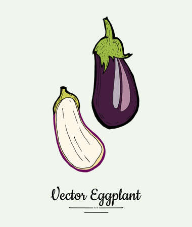 Eggplant vegetable groceries vintage vector set. Hand drawn isolated fresh aubergine. Food line hand drawn illustration. Eggplant vegetarian poster, restaurant menu, logo, icon, sticker, farm shop.のイラスト素材