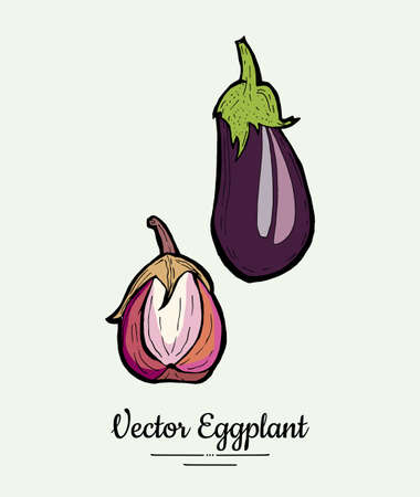 Eggplant vegetable groceries vintage vector set. Hand drawn isolated fresh aubergine. Food line hand drawn illustration. Eggplant vegetarian poster, restaurant menu, logo, icon, sticker, farm shop.のイラスト素材