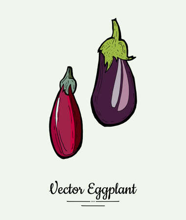 Eggplant vegetable groceries vintage set. Hand drawn isolated fresh aubergine. Food line hand drawn illustration.Eggplant vegetarian poster, restaurant menu, icon, sticker, farm shop.のイラスト素材