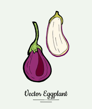 Eggplant vegetable groceries vintage set. Hand drawn isolated fresh aubergine. Food line hand drawn illustration. Eggplant vegetarian poster, restaurant menu, icon, sticker.のイラスト素材