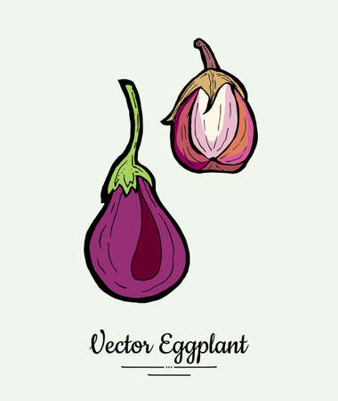 Eggplant vegetable groceries vintage set. Hand drawn isolated fresh aubergine. Food line hand drawn illustration. Eggplant vegetarian poster, restaurant menu, icon, sticker.のイラスト素材