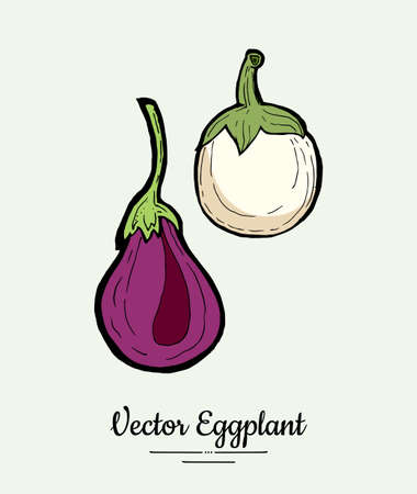 Eggplant vegetable groceries vintage set. Hand drawn isolated fresh aubergine. Food line hand drawn illustration. Eggplant vegetarian poster, restaurant menu, icon, sticker.のイラスト素材