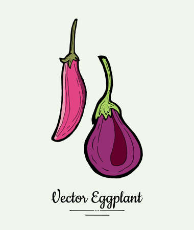 Eggplant vegetable groceries vintage set. Hand drawn isolated fresh aubergine. Food line hand drawn illustration. Eggplant vegetarian poster, restaurant menu, icon, sticker.のイラスト素材
