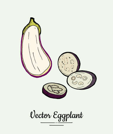 Eggplant vegetable groceries vintage set. Hand drawn isolated fresh aubergine. Food line hand drawn illustration. Eggplant vegetarian poster, restaurant menu, icon, sticker.のイラスト素材