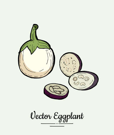 Eggplant vegetable groceries vintage set. Hand drawn isolated fresh aubergine. Food line hand drawn illustration. Eggplant vegetarian poster, restaurant menu, icon, sticker.のイラスト素材