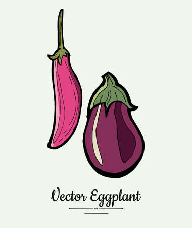 Eggplant vegetable groceries vintage set. Hand drawn isolated fresh aubergine. Food line hand drawn illustration. Eggplant vegetarian poster, restaurant menu, icon, sticker.のイラスト素材