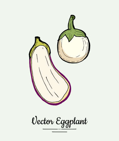 Eggplant vegetable groceries vintage set. Hand drawn isolated fresh aubergine. Food line hand drawn illustration. Eggplant vegetarian poster, restaurant menu, icon, sticker.のイラスト素材
