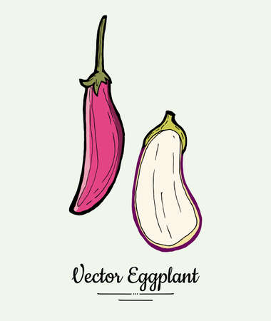 Eggplant vegetable groceries vintage set. Hand drawn isolated fresh aubergine. Food line hand drawn illustration. Eggplant vegetarian poster, restaurant menu, icon, sticker.のイラスト素材