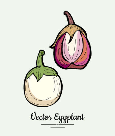 Eggplant vegetable groceries vintage set. Hand drawn isolated fresh aubergine. Food line hand drawn illustration. Eggplant vegetarian poster, restaurant menu, icon, sticker.のイラスト素材