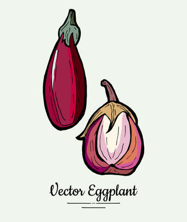 Eggplant vegetable groceries vintage set. Hand drawn isolated fresh aubergine. Food line hand drawn illustration. Eggplant vegetarian poster, restaurant menu, icon, sticker.のイラスト素材
