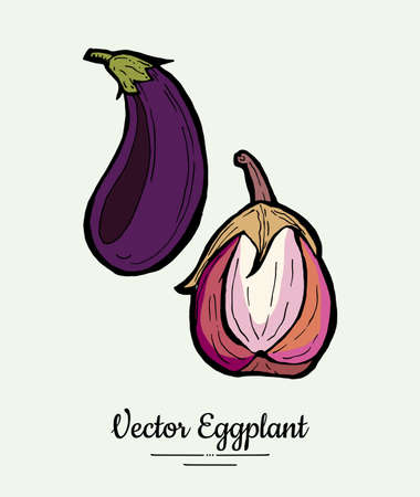 Eggplant vegetable groceries vintage set. Hand drawn isolated fresh aubergine. Food line hand drawn illustration. Eggplant vegetarian poster, restaurant menu, icon, sticker.のイラスト素材