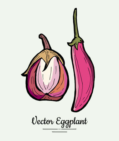 Eggplant vegetable groceries vintage set. Hand drawn isolated fresh aubergine. Food line hand drawn illustration. Eggplant vegetarian poster, restaurant menu, icon, sticker.のイラスト素材