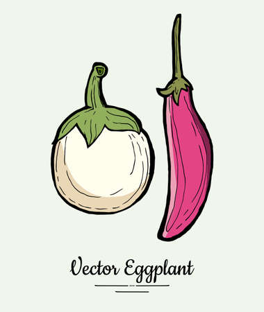 Eggplant vegetable groceries vintage set. Hand drawn isolated fresh aubergine. Food line hand drawn illustration. Eggplant vegetarian poster, restaurant menu, icon, sticker.のイラスト素材