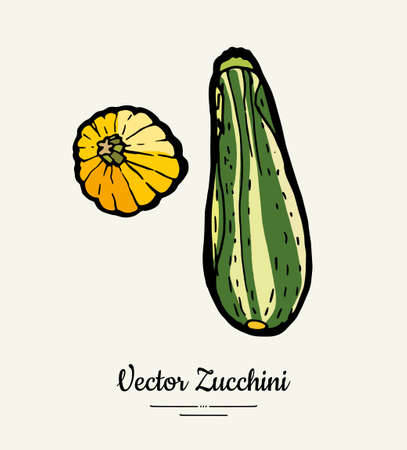Zucchini hand drawn illustration set. Hipster illustration of squash. Isolated green zucchini for vegetarian poster, cooking school, restaurant menu, banner, logo, icon, food shop, harvestのイラスト素材