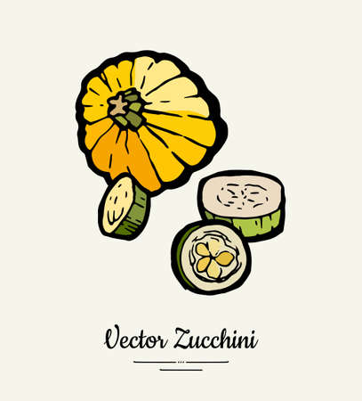 Zucchini hand drawn illustration set. Hipster illustration of squash. Isolated green zucchini for vegetarian poster, cooking school, restaurant menu, banner, logo, icon, food shop, harvestのイラスト素材