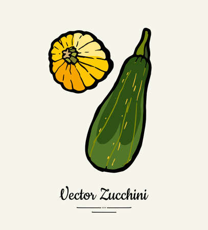 Zucchini hand drawn illustration set. Hipster illustration of squash. Isolated green zucchini for vegetarian poster, cooking school, restaurant menu, banner, logo, icon, food shop, harvestのイラスト素材