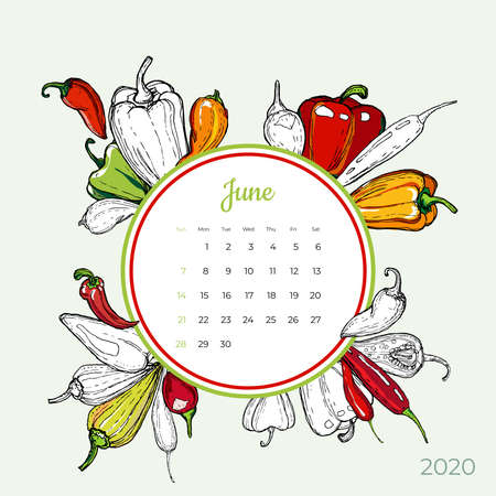 2020 June calendar vegetable. Bell chilli pepper groceries art vector set. Desk, screen, colorful 2020 calendar template. Organic fresh food hand drawn line illustration. Sketched calendar day plannerのイラスト素材