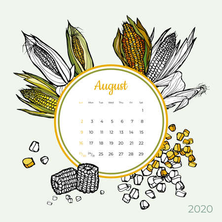 2020 August calendar vegetable. Sweet yellow corn groceries art vector set. Desk screen colorful 2020 calendar template. Organic fresh food hand drawn line illustration. Sketched calendar day planner.のイラスト素材