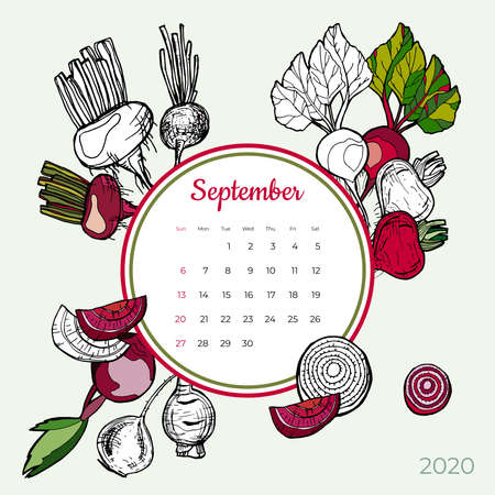 2020 September calendar vegetable. Red sugar beet groceries vector set. Desk, screen, colorful 2020 calendar template. Organic fresh food hand drawn line illustration. Sketched calendar, day planner.のイラスト素材