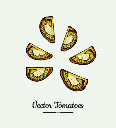 Tomato slices vegetable vector isolate. Orange cutted tomatoes. Vegetables hand drawn illustration. Trendy food vegetarian yellow tomato icon poster banner sketch. Vector illustration isolatedのイラスト素材