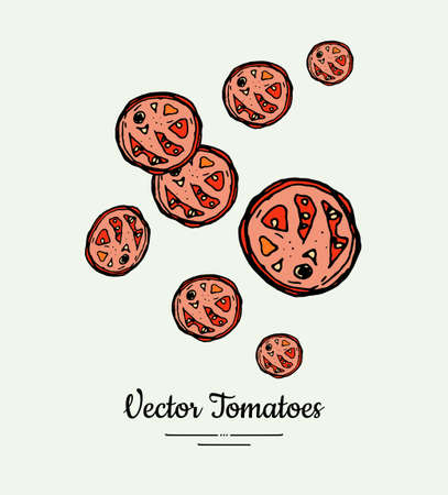 Tomato slices vegetable vector isolate. Red half cutted tomatoes. Vegetables hand drawn illustration. Trendy food vegetarian ripe tomatoes icon poster, banner, sketch. Vector illustration isolateのイラスト素材