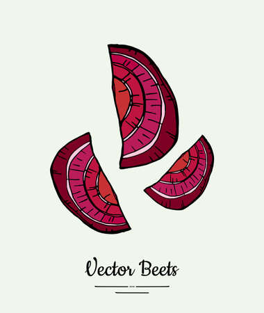 Beet slices vegetable vector isolate. Red sliced beetroot. Vegetables hand drawn illustration. Trendy food vegetarian sweet purple beetroot icon logo poster banner sketch. Vector illustration isolatedのイラスト素材