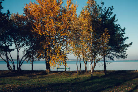Beautiful autumn lake landscape and sunset. Blue waves and horizon line on water. Beautiful nature background with yellow, red and green trees. Place for text on natural background. Sun, rays, glare.の写真素材
