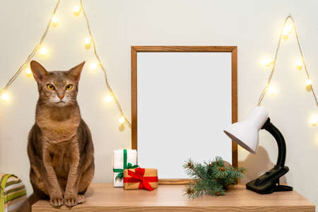 Christmas poster frame mock up. Abyssinian cat green fir branches red paper gift boxes lights garland lamp. Wooden empty frame white background. Home new year decor concept copy space mock up bannerの写真素材
