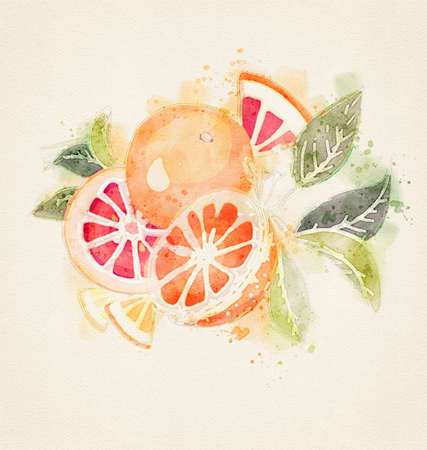 Watercolor oranges set isolated. Whole half cut chopped orange, red grapefruit slices, flowers leaves. Fruit hand drawn. Citrus food vegetarian sketch style. Orange illustration white backgroundの写真素材
