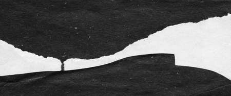 Abstract landscape, black and white minimalist art illustration. Contrast achromatic craft paper applique with lines. Black white minimalist abstract collage. Landscape for postcard, poster, banner.の写真素材