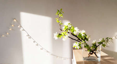 White living room minimalist interior shelf mockupの写真素材