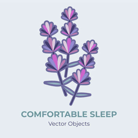 Lavender vector isolated. Lavender flowers for comfortable sleep illustration. Cartoon concept against sleep disorder insomnia depression. Self helping illustration calming purple pink avender herbsのイラスト素材