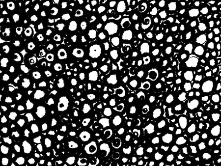 Spirals ink texture background. Vintage black and white illustration with spiral. Geometric abstract decorative pattern. Grunge ink drawing, modern paper art black texture mockup on white backdrop.の写真素材