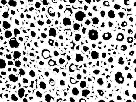 Spirals ink texture background. Vintage black and white illustration with spiral. Geometric abstract decorative pattern. Grunge ink drawing, modern paper art black texture mockup on white backdrop.の写真素材