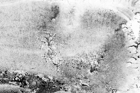 Abstract landscape watercolor hand drawn illustration. Black and white watercolor landscape. Minimalist hand drawn illustration card background poster banner. Hand drawn watercolor black and whiteの写真素材