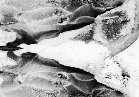 Abstract landscape watercolor hand drawn illustration. Black and white watercolor landscape. Minimalist hand drawn illustration card background poster banner. Hand drawn watercolor black and whiteの写真素材