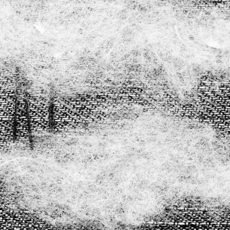 Fabric art applique Illustration. Patchwork forest landscape with trees, hills and sky. Original graphic illustration black and white. Decorative landscape hand made recycled trash artの写真素材