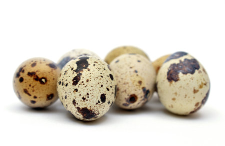 Quail eggs on isolated backgroundの写真素材