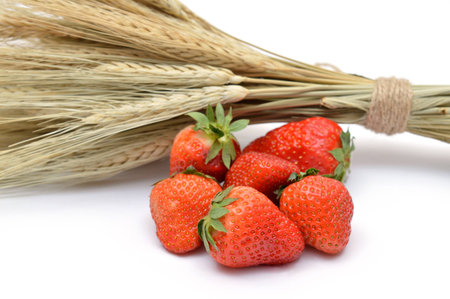 Ripe strawberry on a background of wheatの写真素材