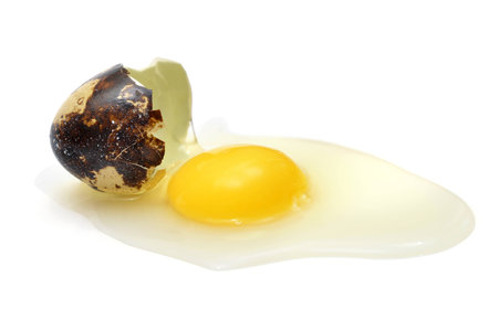 Broken quail egg with shellの写真素材