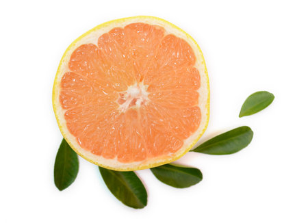 Cut grapefruit surrounded by leaves isolated on white background. Top view.の写真素材