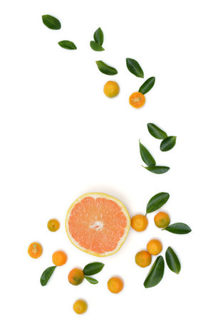 Cut grapefruit surrounded by leaves and small mandarins isolated on white. Top view of grapefruit with mandarins and leaves.の写真素材