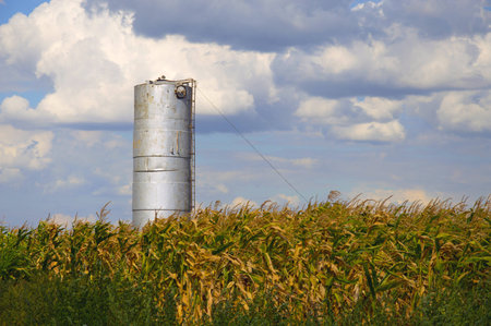 Water tower in a cornfield.の写真素材