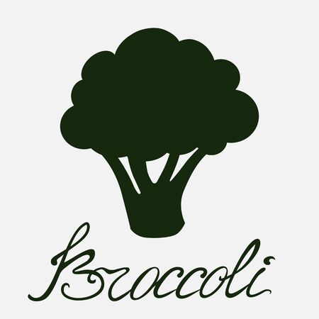 Silhouette of a broccoli branch with lettering inscriptionのイラスト素材