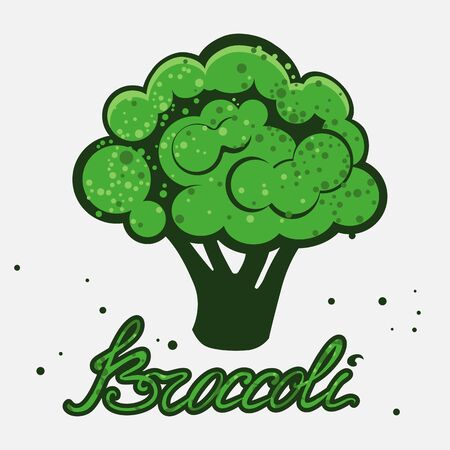 Vector illustration of broccoli on a white background with lettering inscriptionのイラスト素材