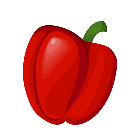 Vector image of sweet red bell pepper isolated on a white backgroundのイラスト素材