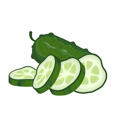 Vector image of a cucumber cut into slices across. Illustration of a healthy dietのイラスト素材