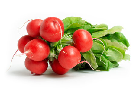 Radish bunch isolated on white backgroundの写真素材