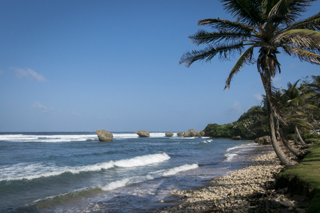 Coral reef boulders on the beach at Bathsheba, Barbadosの写真素材